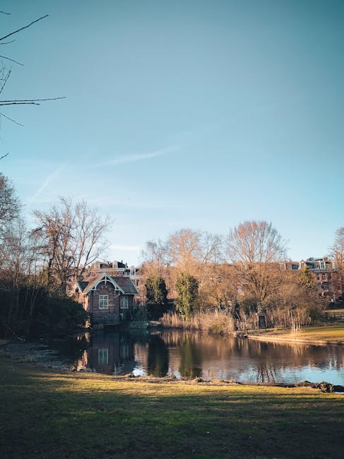 A clear outdoor scene showing a calm body of water, likely a pond or small lake, surrounded by grass and leafless trees indicative of late autumn or winter. In the background, there are residential buildings and modern apartments partially obscured by the trees, situated on a gentle slope. The foreground features a grassy bank leading to the water's edge, with no visible moving activity or furniture present. The sky is bright with a few wispy clouds, and the lighting suggests daytime. This scene exemplifies a peaceful residential area potentially serviced by Holland Park Man and Van for home relocation and furniture transport during moves, with natural surroundings enhancing the clarity of the environment.
