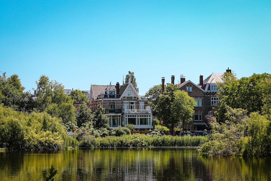 A row of large, multi-story residential buildings with gabled roofs and extensive window sections, situated behind a lush green landscape along the edge of a calm body of water. The trees and shrubs along the shoreline partially obscure the lower parts of the buildings. The buildings appear as part of a typical urban or suburban residential area, with some chimneys visible on the rooftops. The scene is illuminated by bright, midday sunlight, with a clear blue sky overhead. The image depicts an environment suitable for home relocation or furniture transport processes, with the buildings set within a scenic, leafy context. Holland Park Man and Van may utilise such locations for loading or unloading during moving services, highlighting the importance of careful planning and thorough packing when managing house removals across residential neighbourhoods.