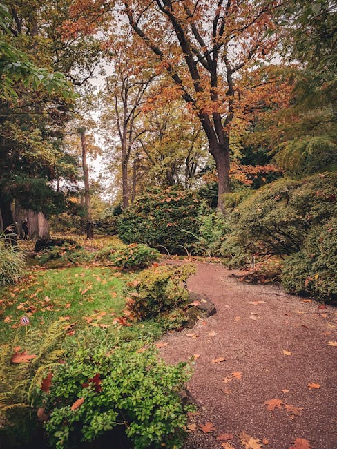 A peaceful garden scene with a gravel pathway winding through lush green bushes, plants, and trees, some of which display autumnal orange and yellow leaves. The pathway is scattered with fallen leaves, and the garden is enclosed by a variety of mature trees and shrubbery, creating a natural, tranquil environment. Sunlight filters through the foliage, casting gentle shadows. In the background, there are no visible vehicles or furniture, but the setting suggests a private outdoor space that could be part of a residential property. Holland Park Man and Van’s removals service, as referenced by the page title 'Kyoto Garden access for Holland Park removals and deliveries', may involve logistics at such picturesque locations, possibly including home relocation or furniture transport through outdoor pathways like this one, ensuring careful handling of items during loading or unloading processes. This image highlights the serene environment that can be involved in moving or delivery logistics within such scenic outdoor spaces.